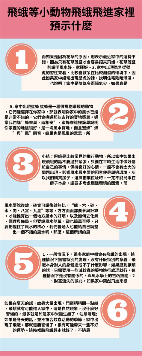 飛蛾靈魂|【飛蛾 親人】飛蛾飛來家中親人思念！三種蛾象徵親人想念子女